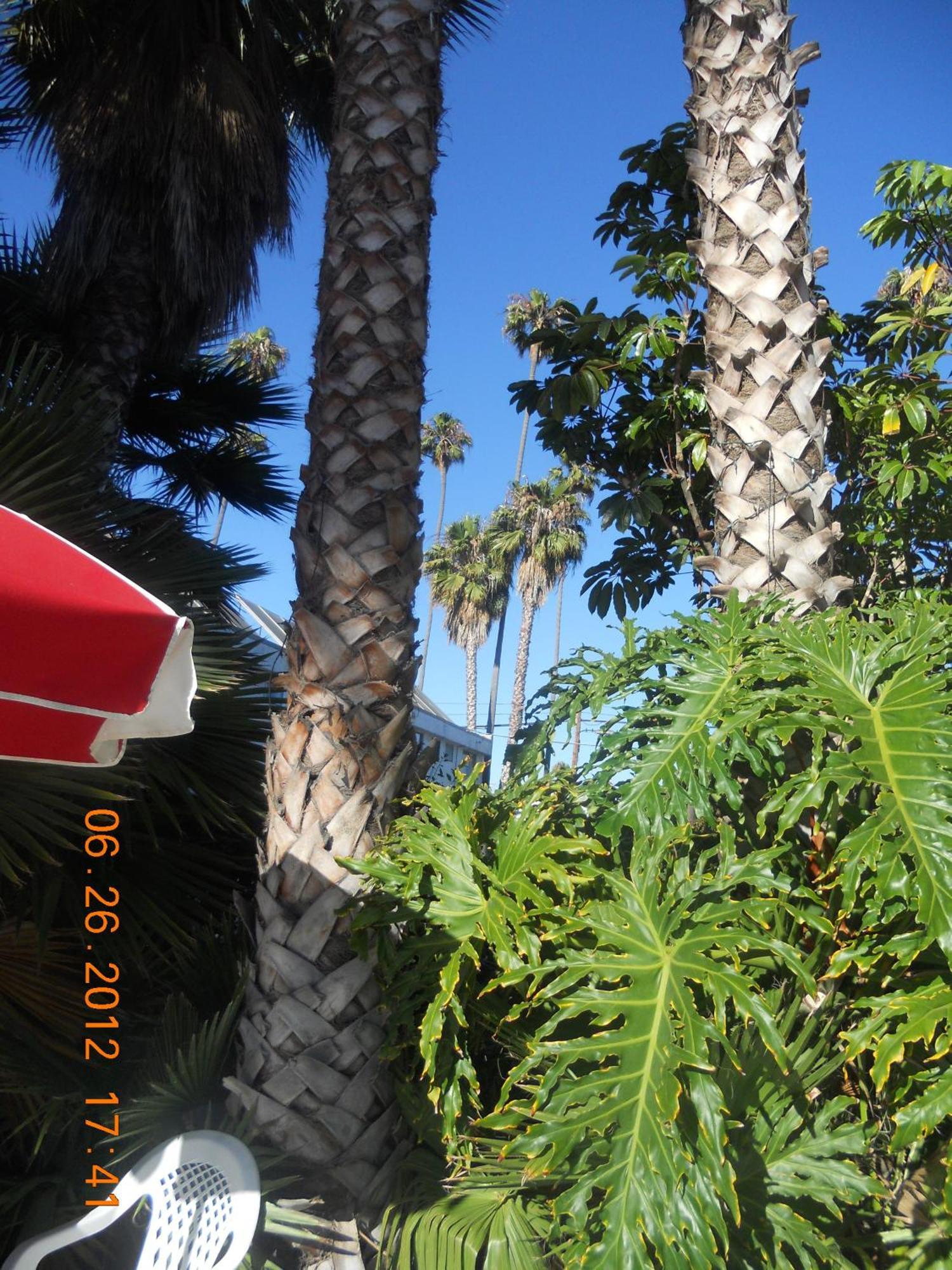 Tradewinds Airport