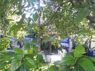 Motel Tradewinds Airport 2*