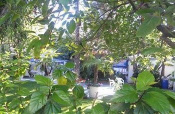 Motel Tradewinds Airport 2*